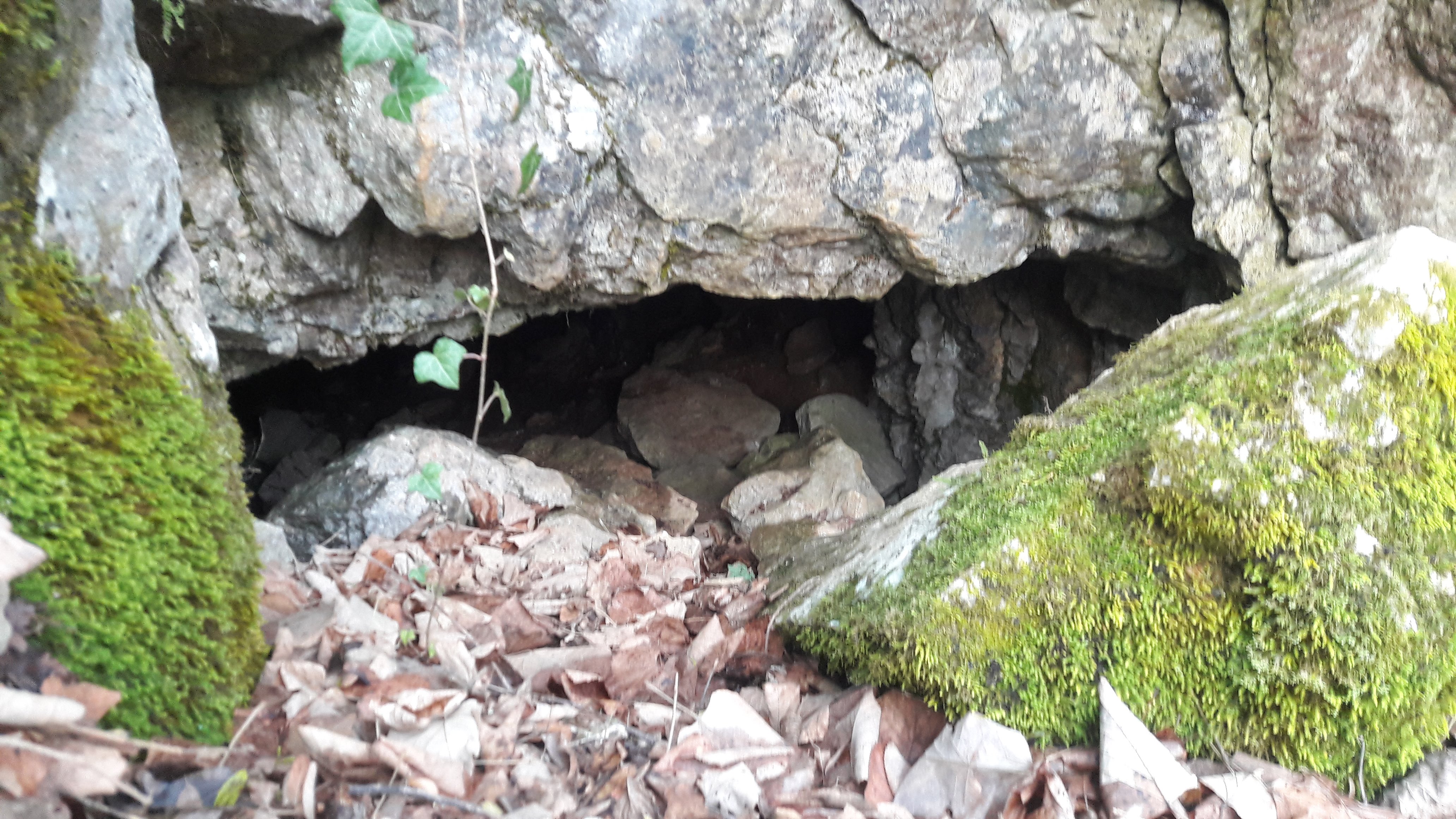 Peștera cu Helictite - Image 2